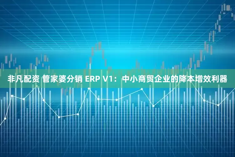 非凡配资 管家婆分销 ERP V1：中小商贸企业的降本增效利器